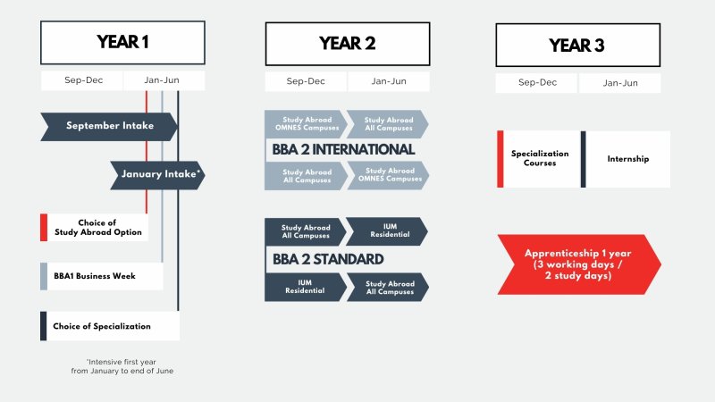 IUM - NEW BBA PROGRAM DETAILS